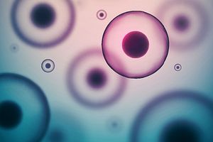 生物制品数字化